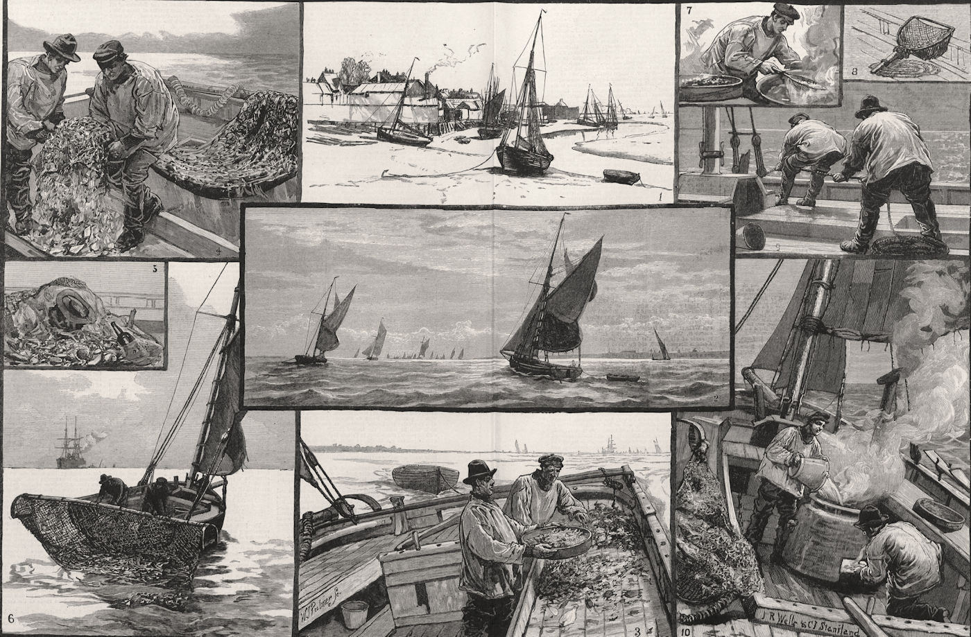 Shrimping at the mouth of the Thames. Leigh-on-Sea. Fishermen 1883 old print